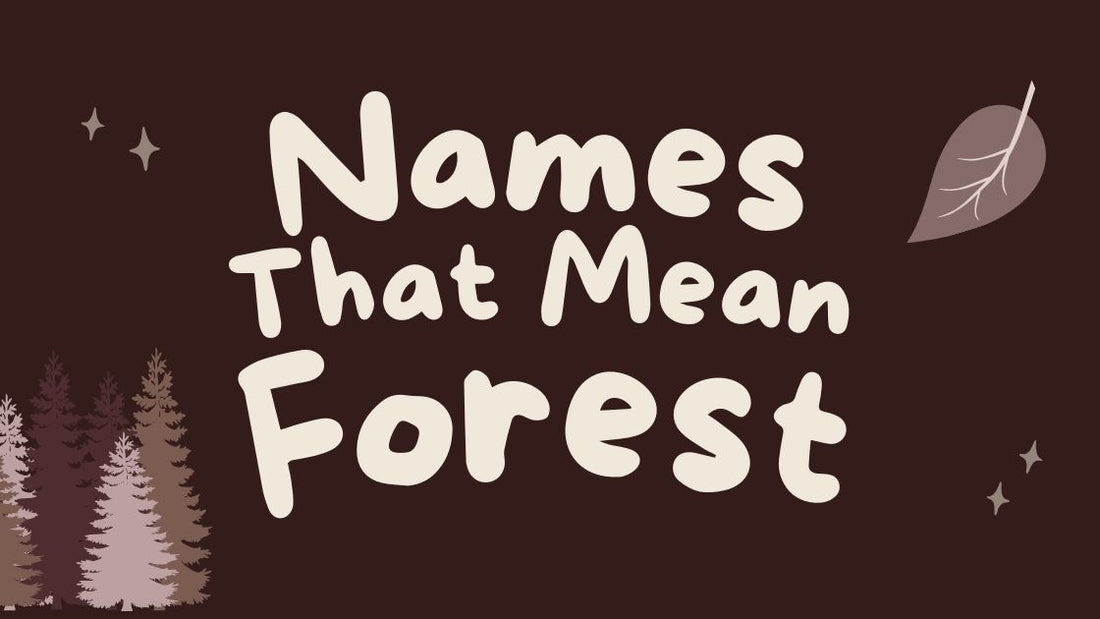 Names That Mean Forest